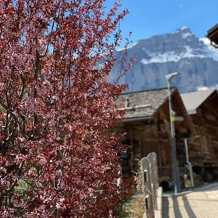 Mountain Getaway - Ferienwohnung Mit Sauna * Albinen